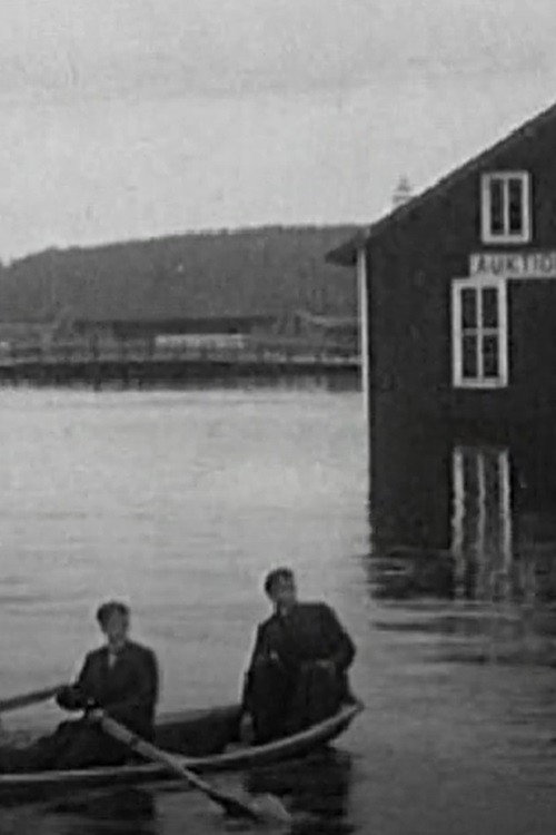 The Ravages of the Spring Flood in Norrland in 1916 Poster