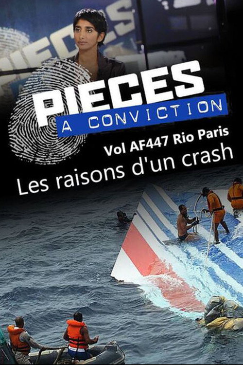 Pièces à conviction - Vol AF447 Rio Paris - Les raisons d'un crash Poster