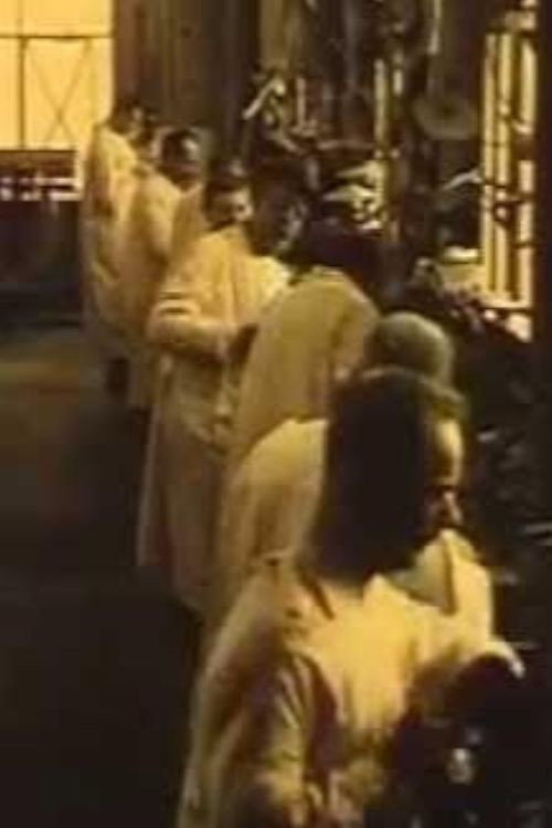 Van Boom tot Meubel Poster