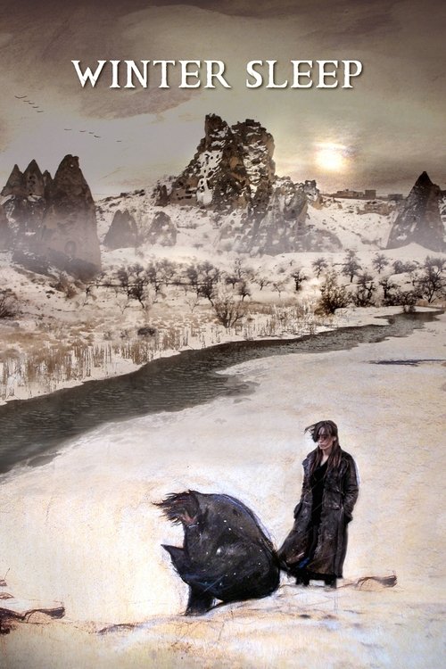 Winter Sleep Poster