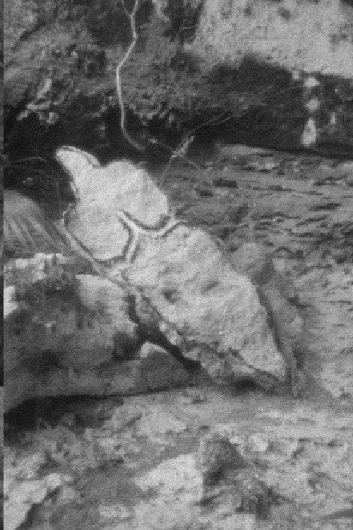 Esculturas Rupestres Poster