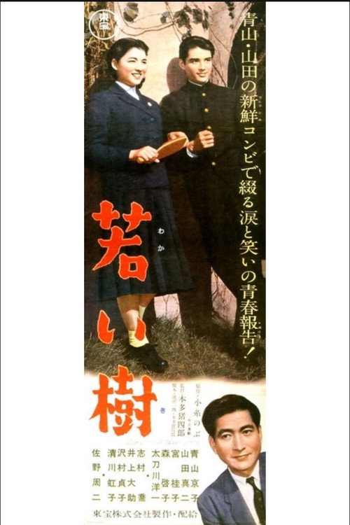 Young Tree Poster