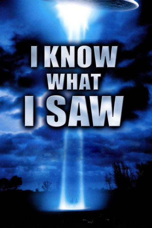 I Know What I Saw Poster