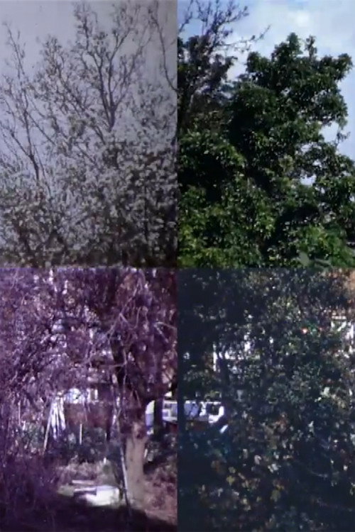 From Four Seasons Poster