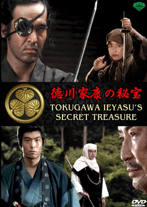 Tokugawa Ieyasu's Secret Treasure Poster