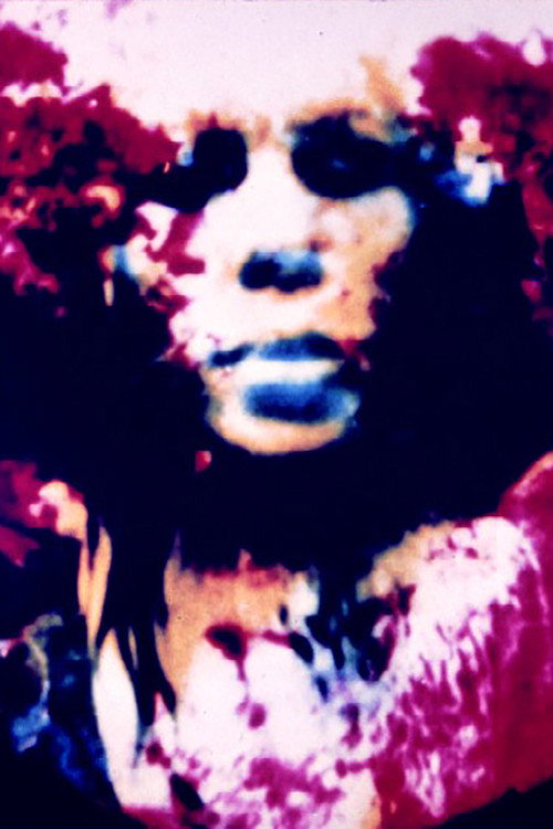 Cibernetik 5.3 Poster