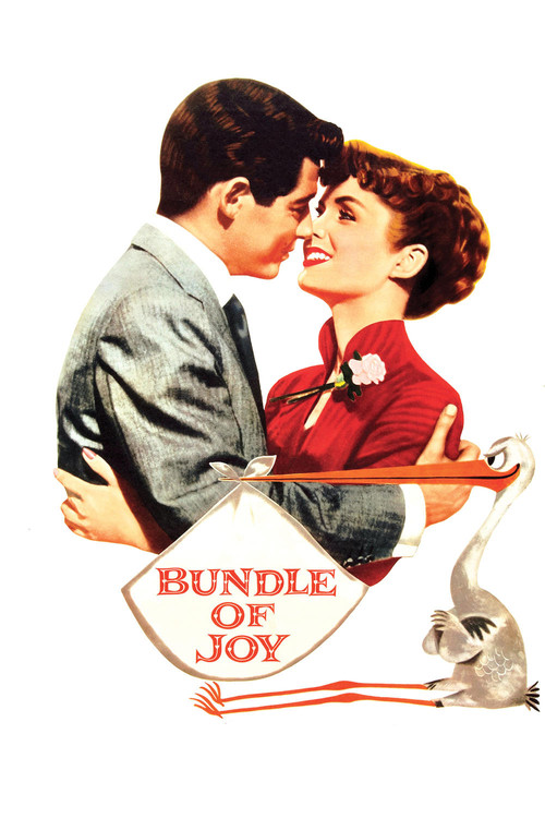 Bundle of Joy Poster