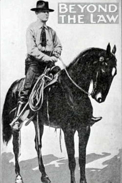 Beyond the Law Poster