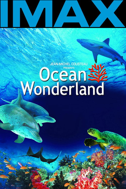 Ocean Wonderland 3D Poster