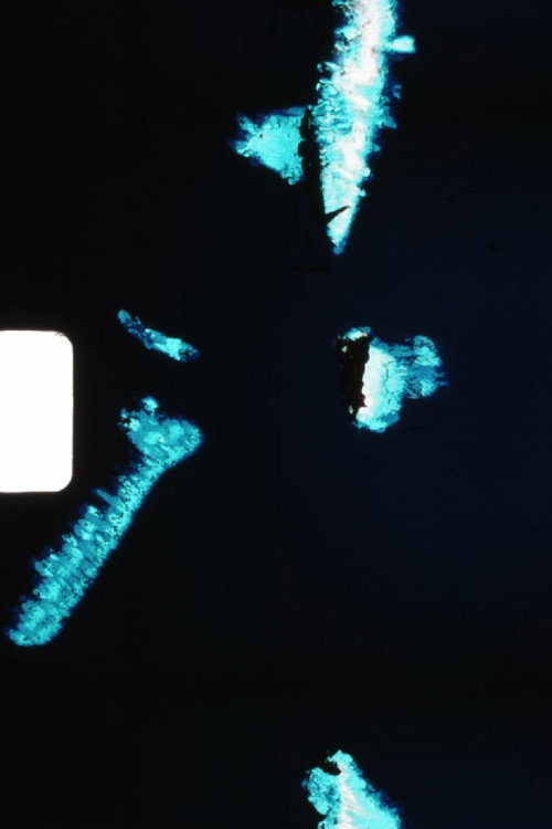 Bite Me. Once Already. Poster