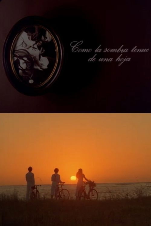 Como la sombra tenue de una hoja Poster