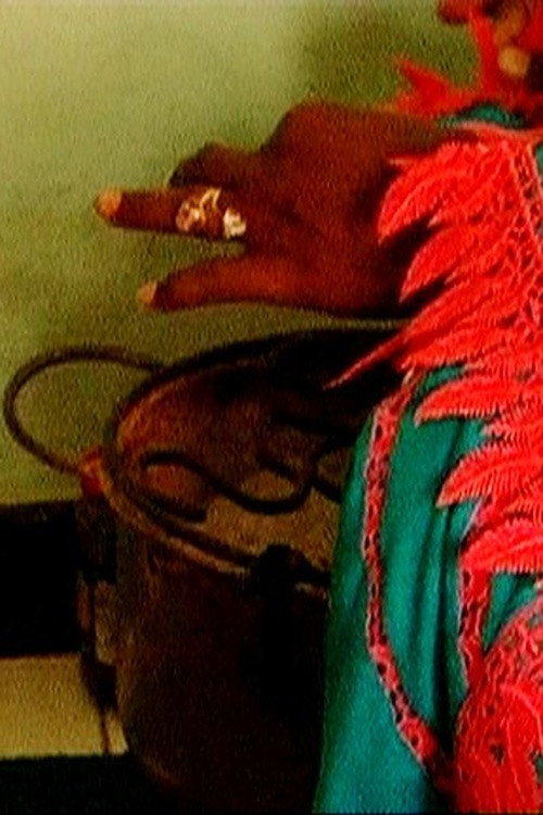 Les Sénégalaises et la Sénégauloise Poster