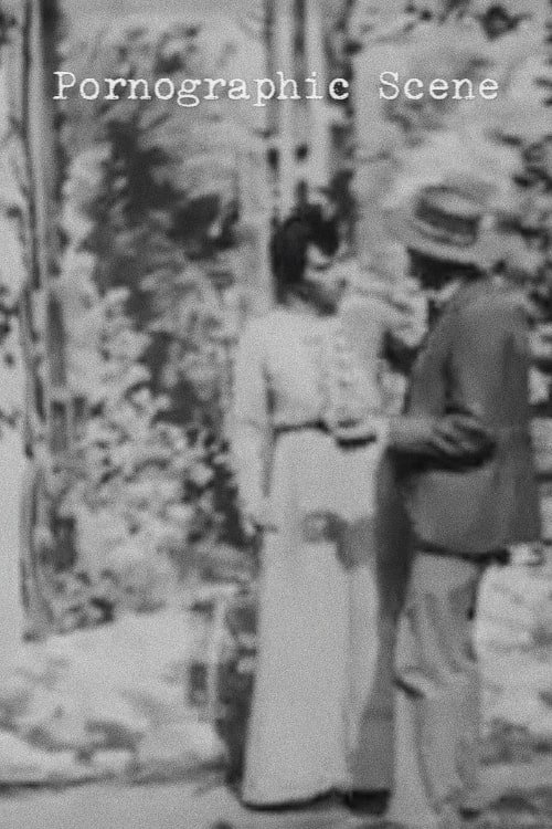 Pornographic Scene Poster