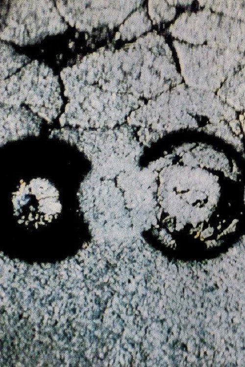 Traces Poster