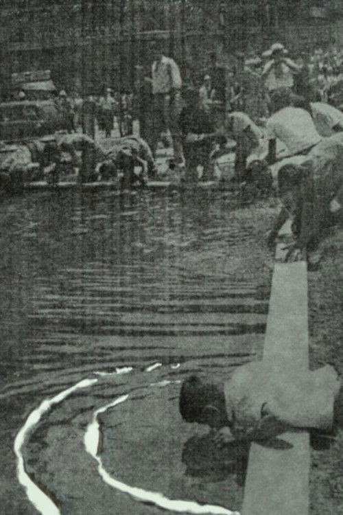 The Unknowing of Things Poster