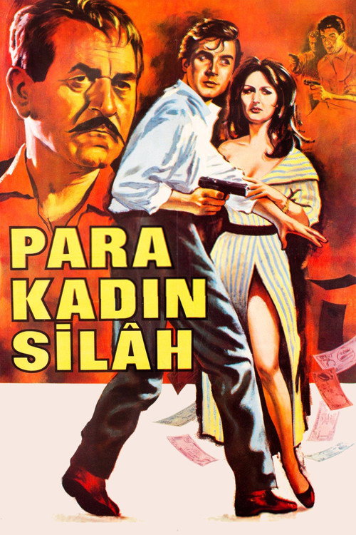 Para Kadın Silah Poster