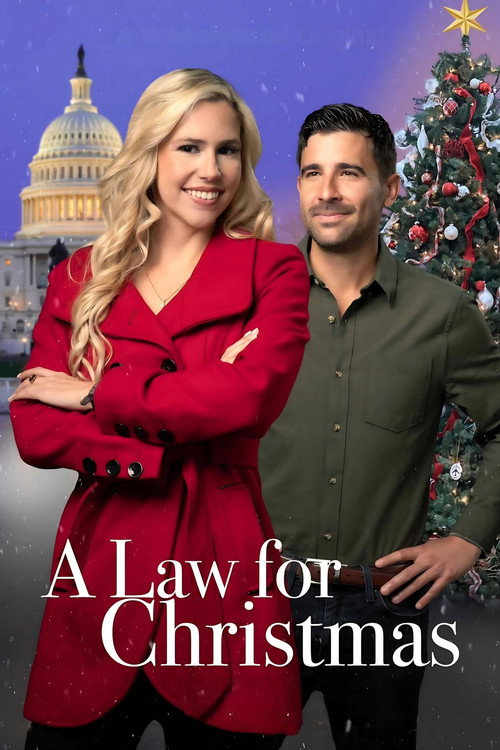A Law for Christmas Poster