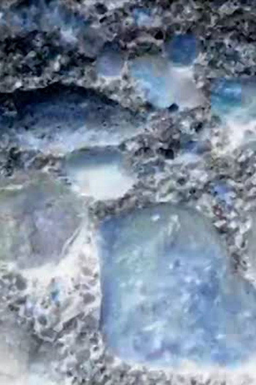 Ecosystem 21 ~ Canis Majoris Poster