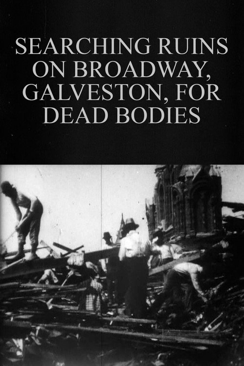 Searching Ruins on Broadway, Galveston, for Dead Bodies Poster