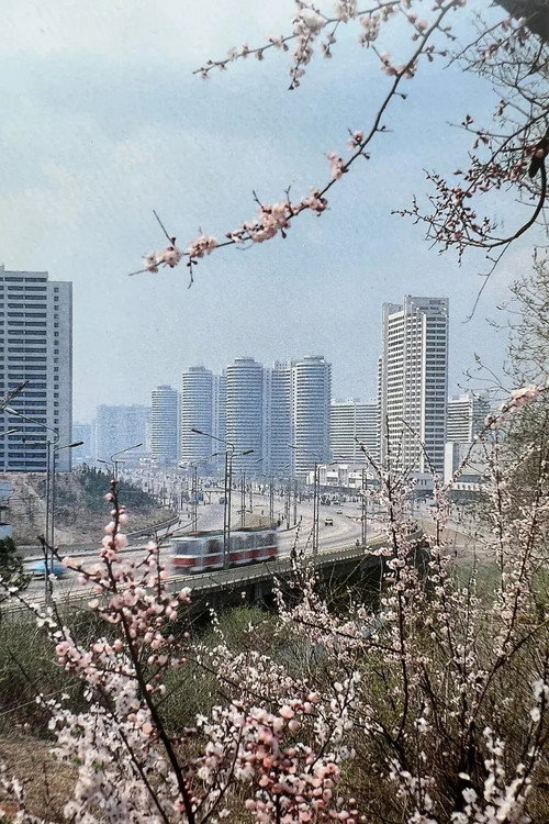 My Socialist Country Poster