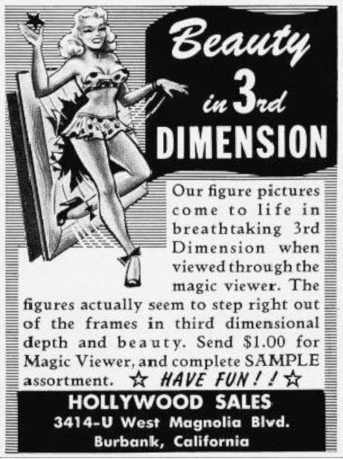 Beauty in 3rd Dimension Poster