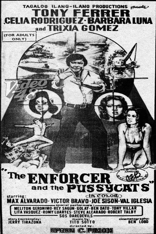 The Enforcer and the Pussycats Poster
