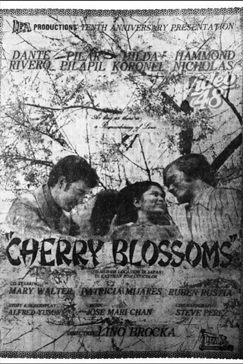 Cherry Blossoms Poster
