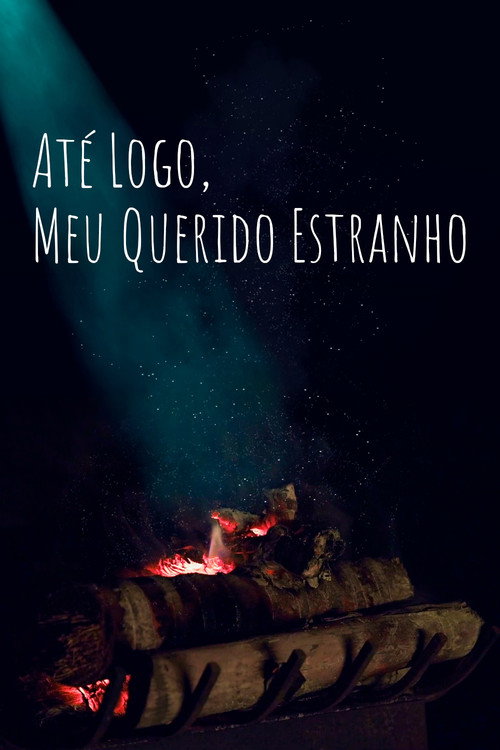 So Long, My Dear Stranger Poster