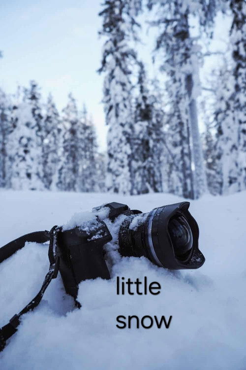 little snow Poster