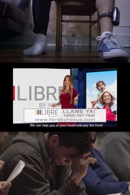 Libre Poster