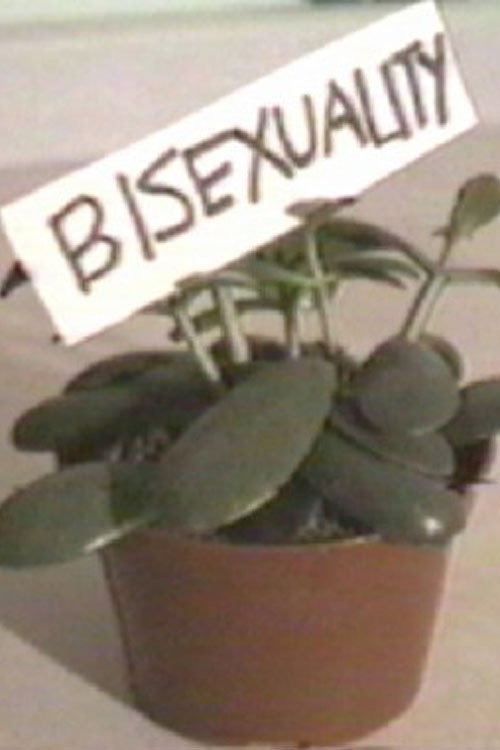 Bisexual Wannabe Poster