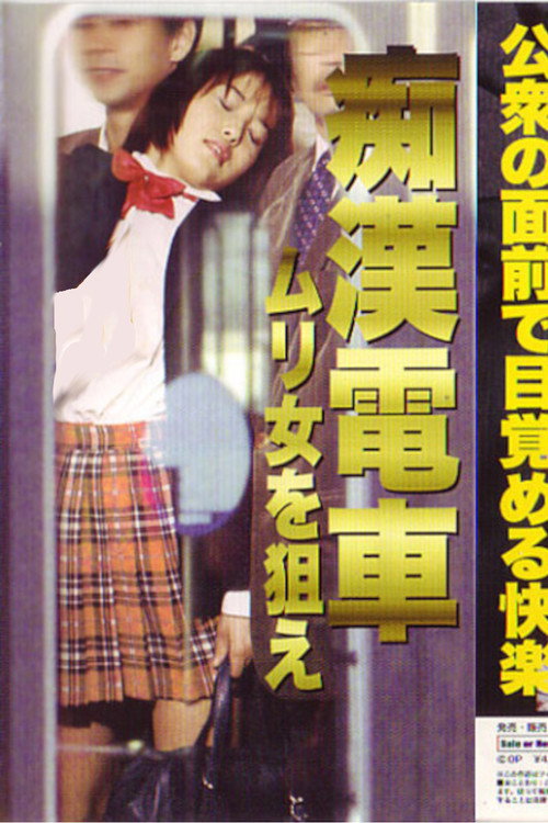 Groper Train: Target the Impossible Woman Poster