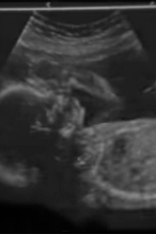 Con el corazón Poster