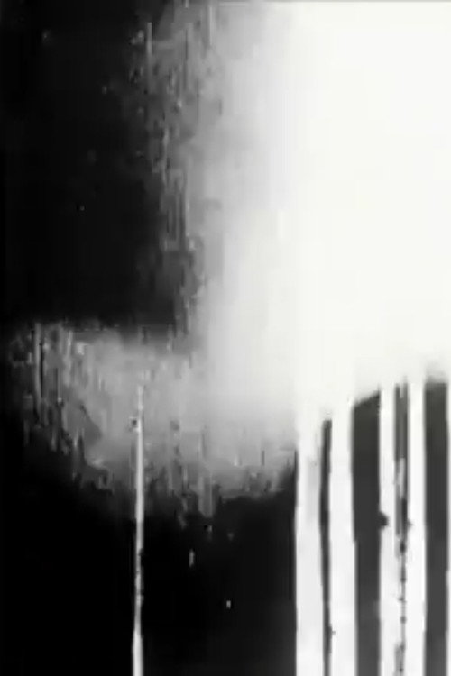 Black Trip 2 Poster