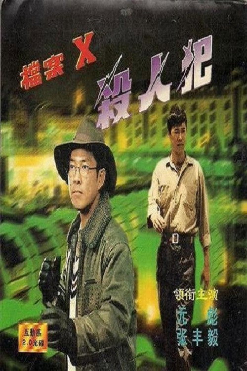 Chasing Murderer Poster