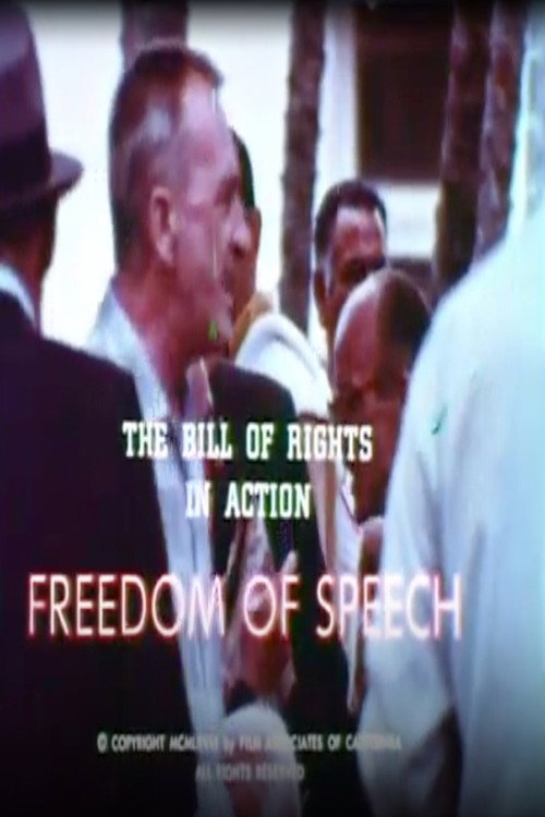 The Bill of Rights in Action: Freedom of Speech Poster