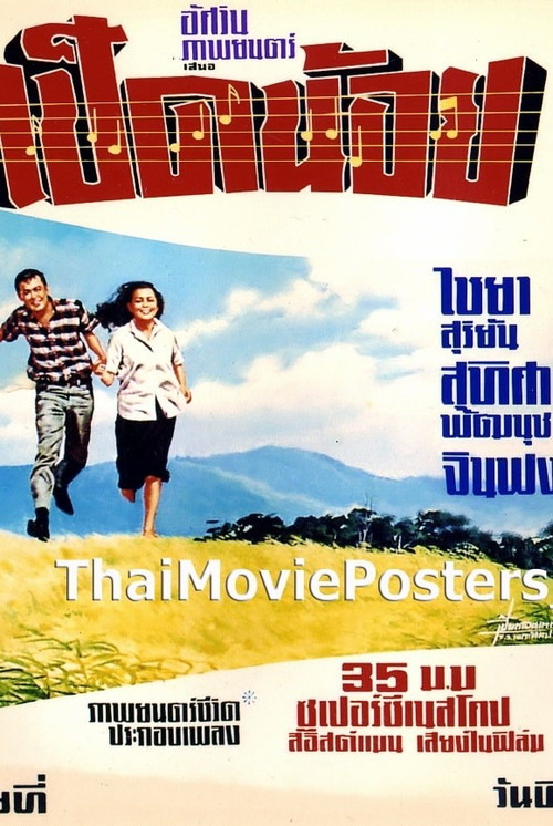 เป็ดน้อย Poster