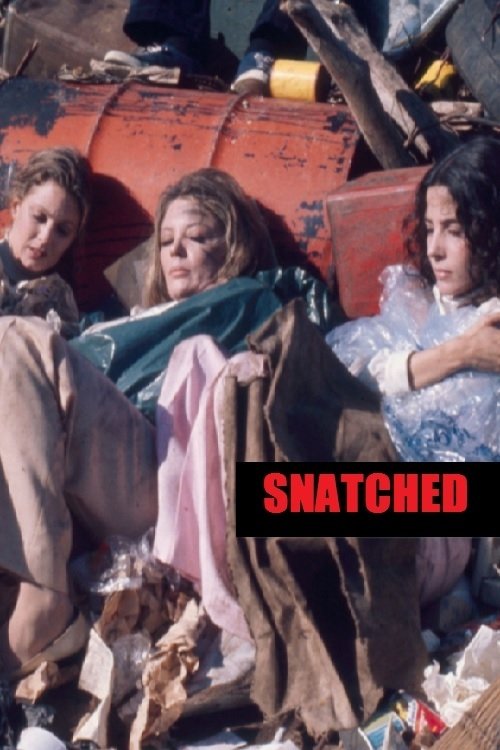 Snatched Poster