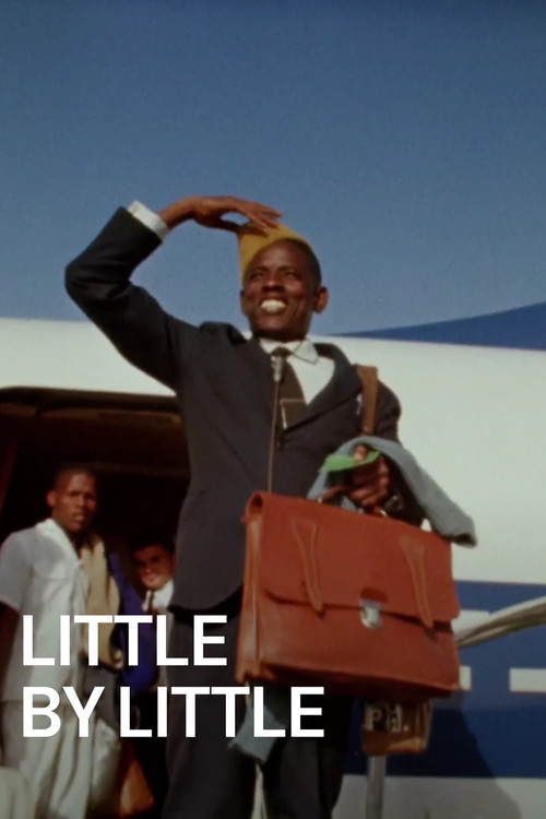 Little by Little Poster