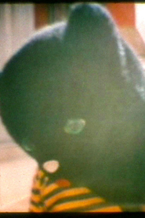 If Anyone Should Happen to Get In My Way Poster