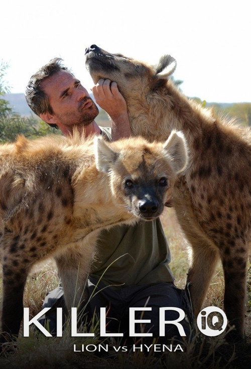 Killer IQ: Lion vs. Hyena Poster