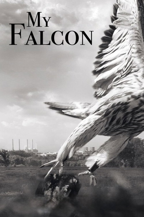 My Falcon Poster