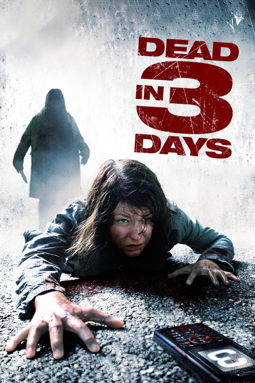Dead in 3 Days Poster