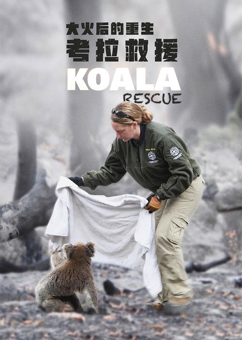 Koala Rescue Poster
