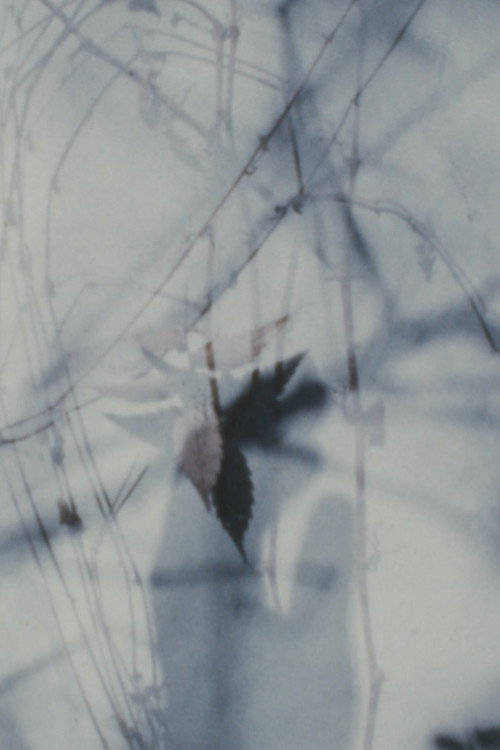 Ruins of Logi Poster