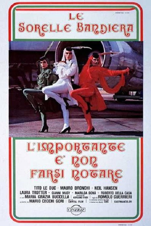 L'importante è non farsi notare Poster