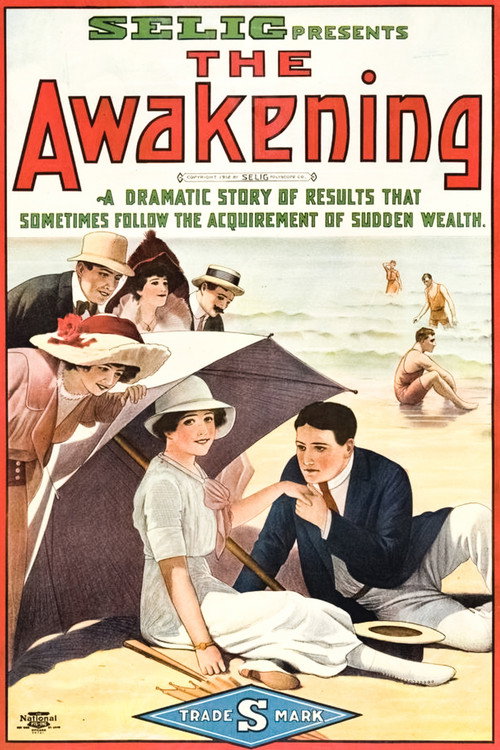 The Awakening Poster