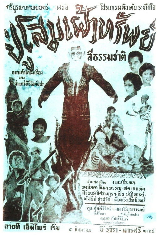 Grandfather Ginseng Watches Over the Assets Poster