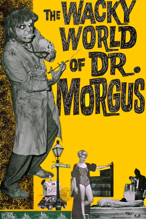The Wacky World of Dr. Morgus Poster