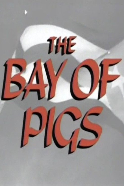 The Bay of Pigs Poster